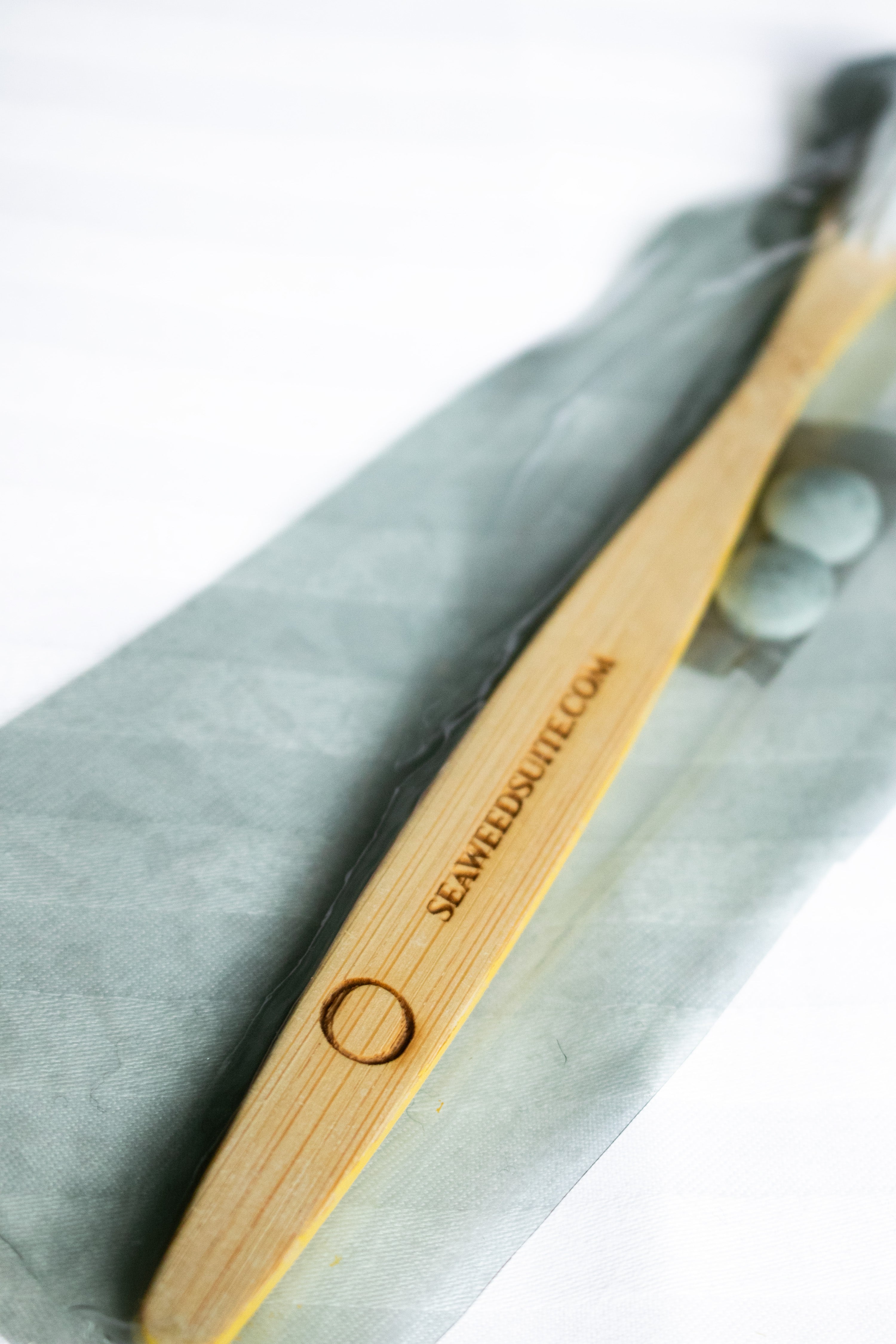 Spirulina Dental Kit