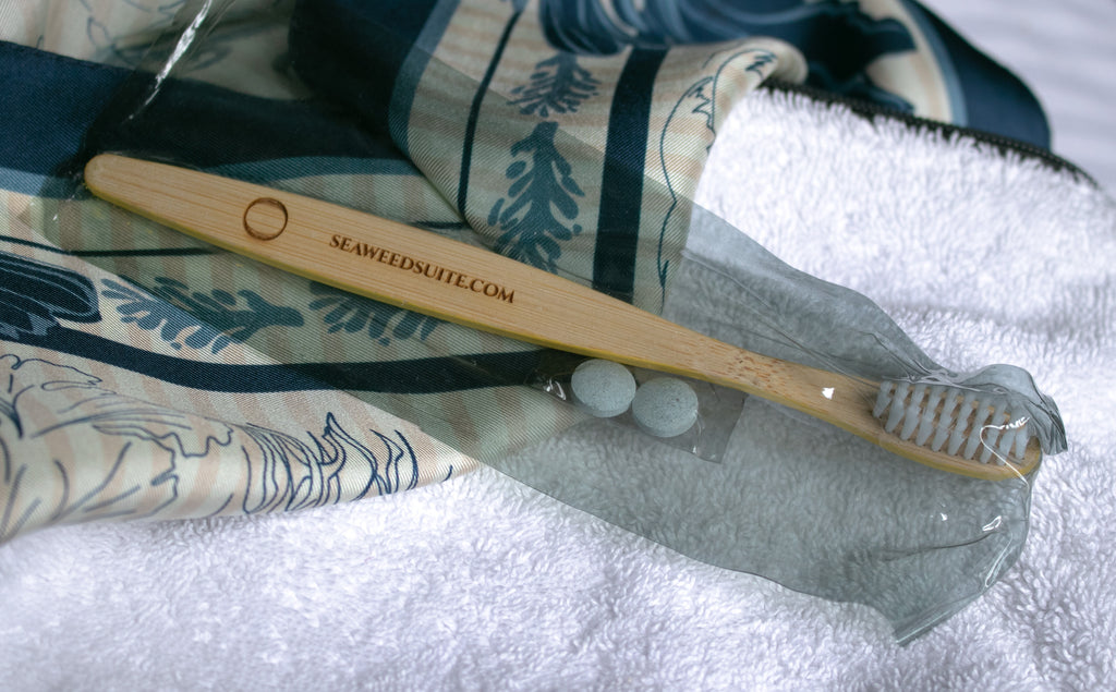 Spirulina Dental Kit