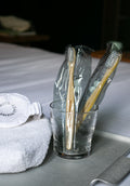 Spirulina Dental Kit