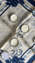 Atlantic Algae Scent Discovery Set