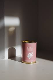 Rose Beauty Infusion