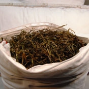 Seagrass Accent Pillow