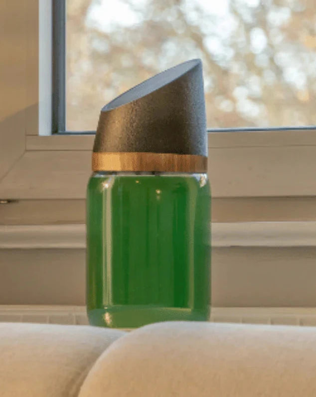Spirulina Lamp