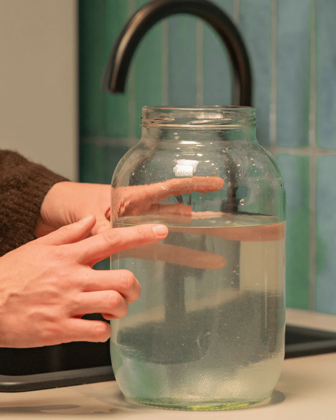 Spirulina Lamp