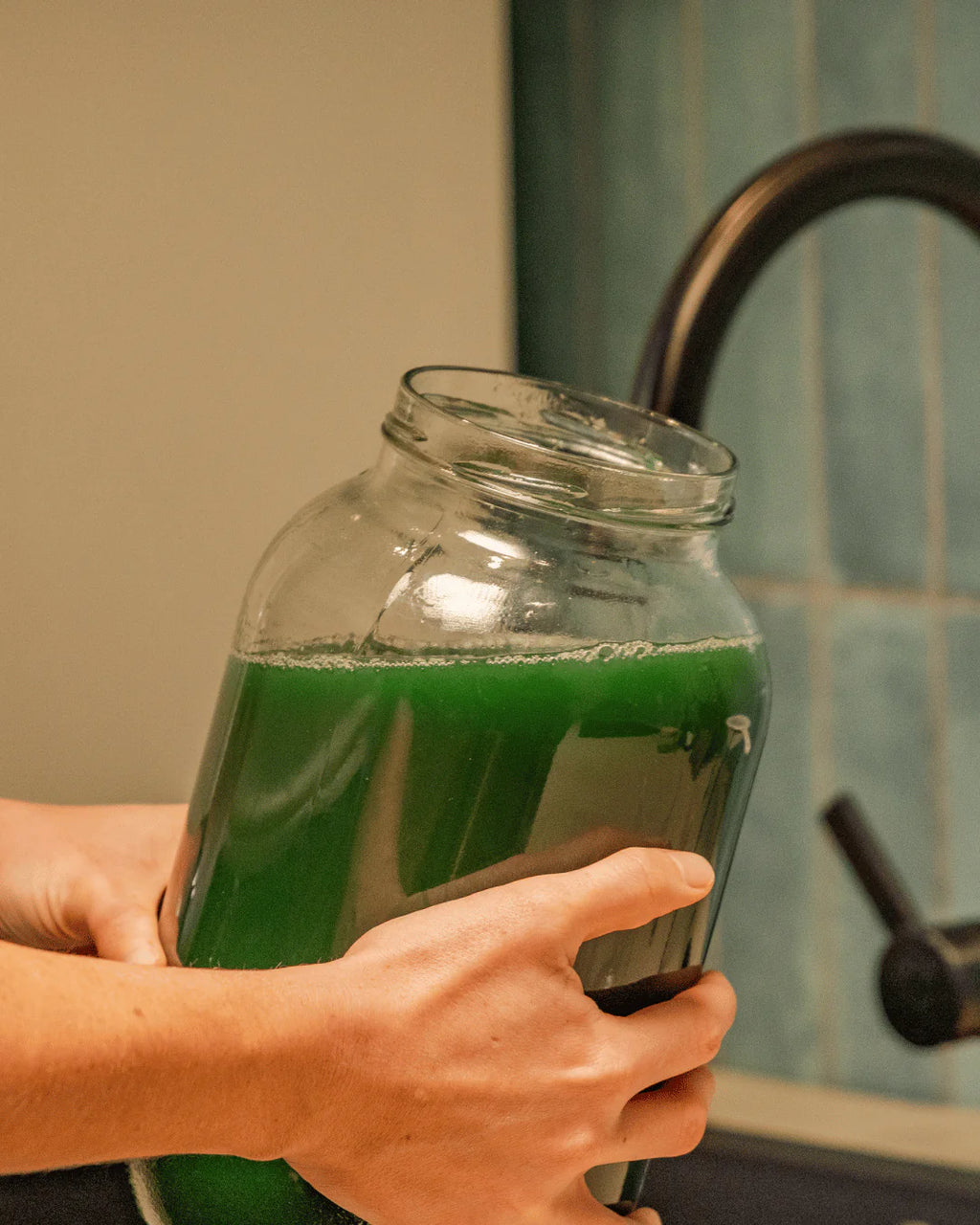 Spirulina Lamp