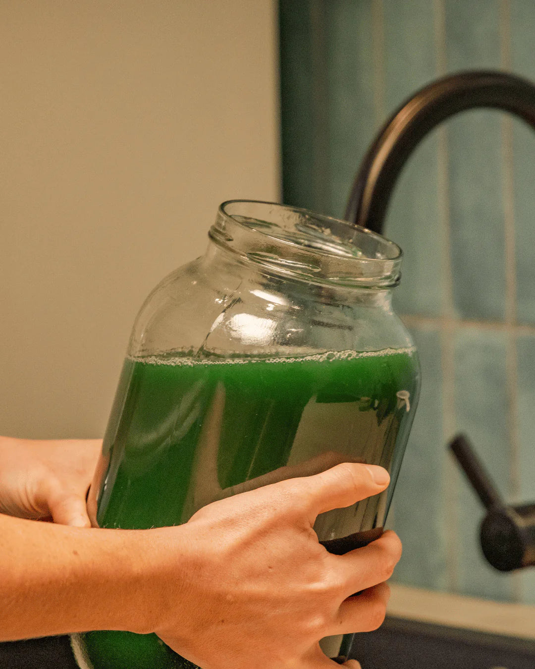 Spirulina Lamp