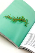 Algae Paper Book