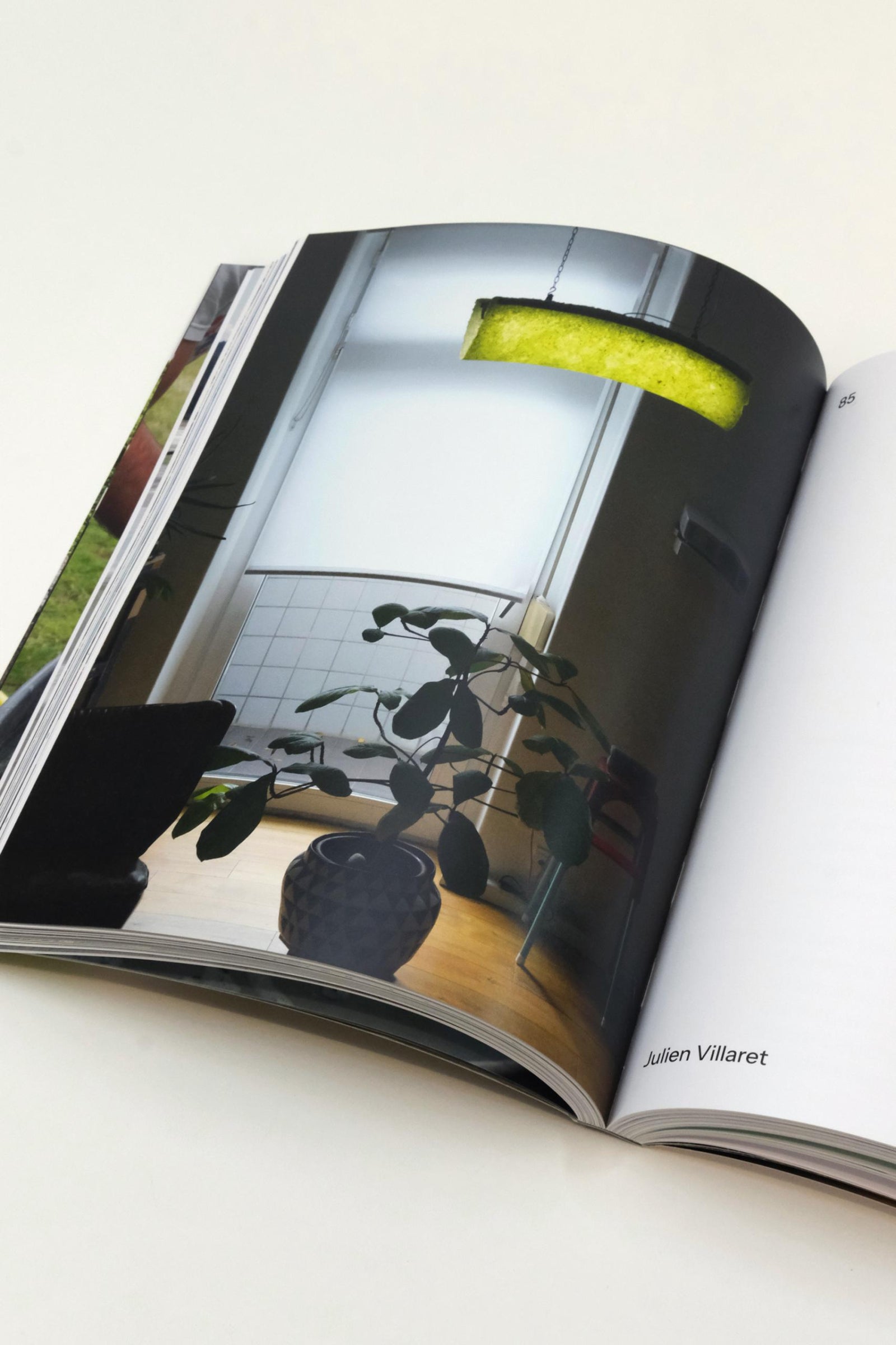 Algae Paper Book