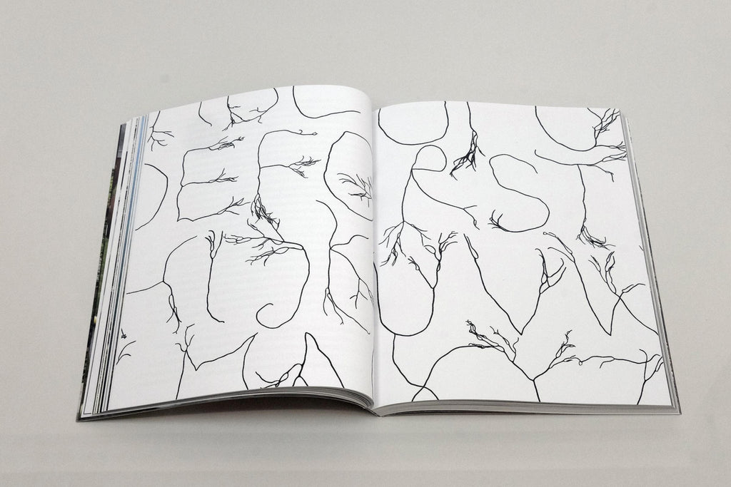 Algae Paper Book