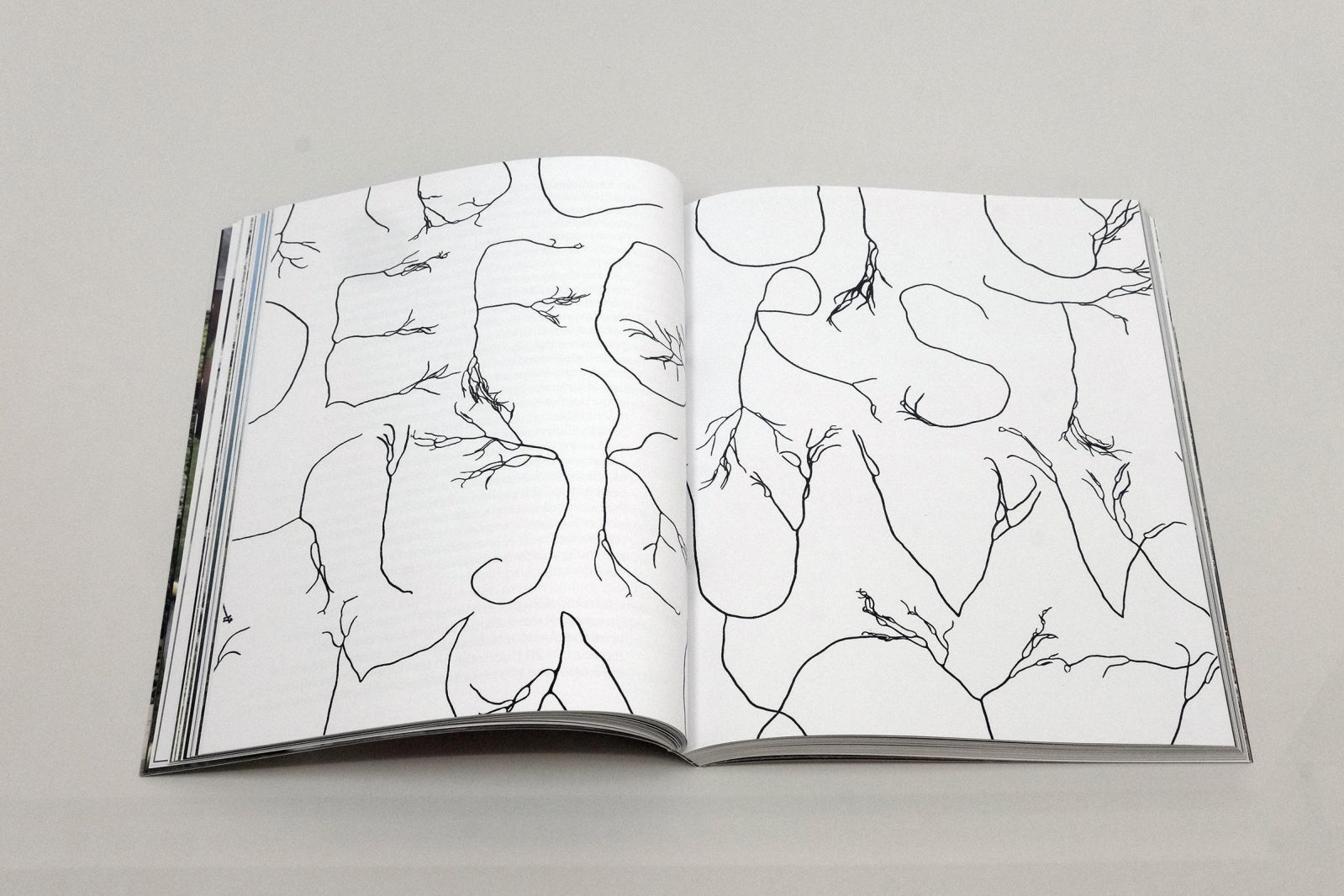 Algae Paper Book