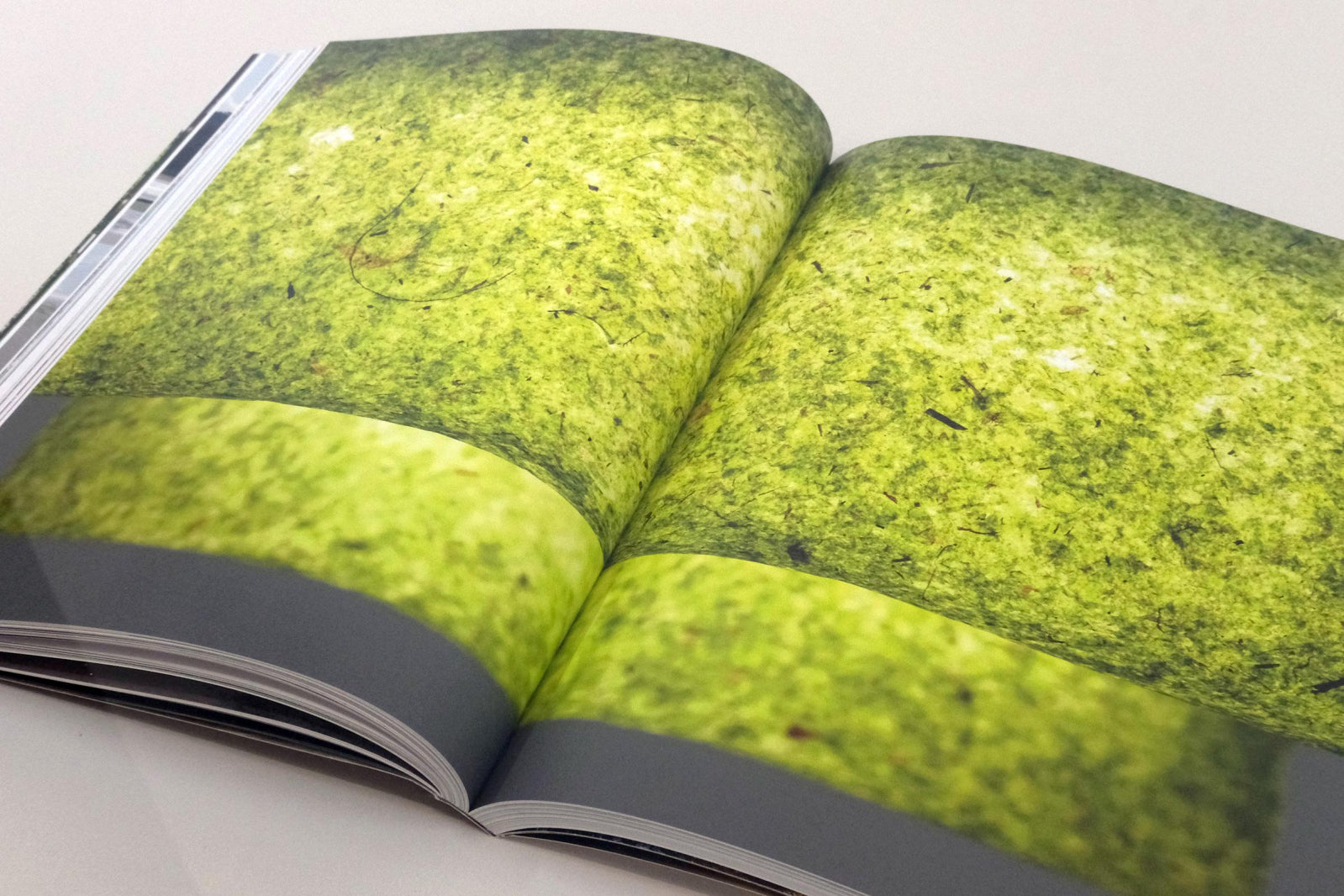 Algae Paper Book