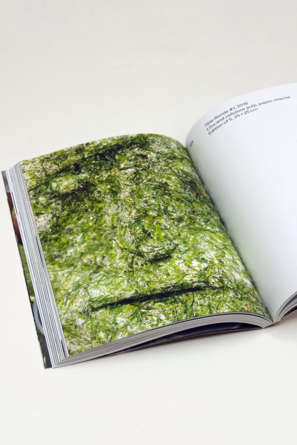 Algae Paper Book