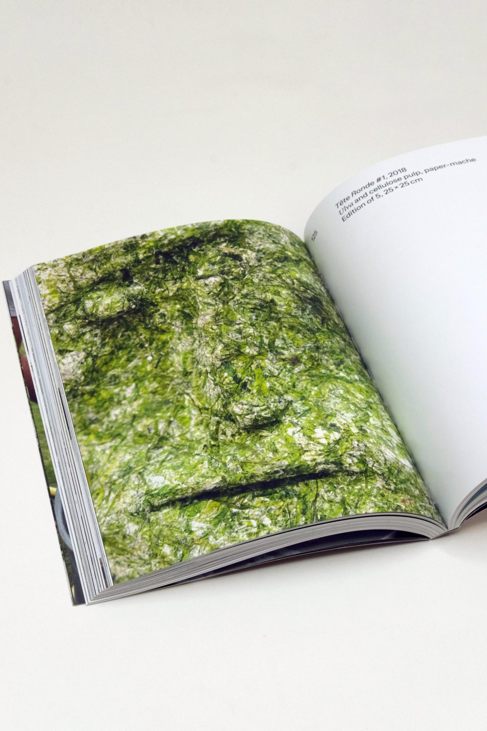 Algae Paper Book