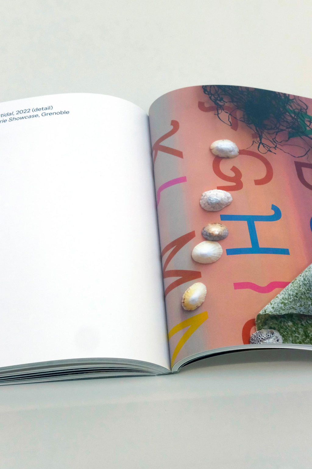 Algae Paper Book