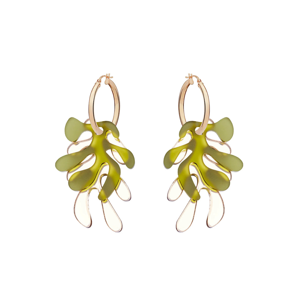 Algae Hoops
