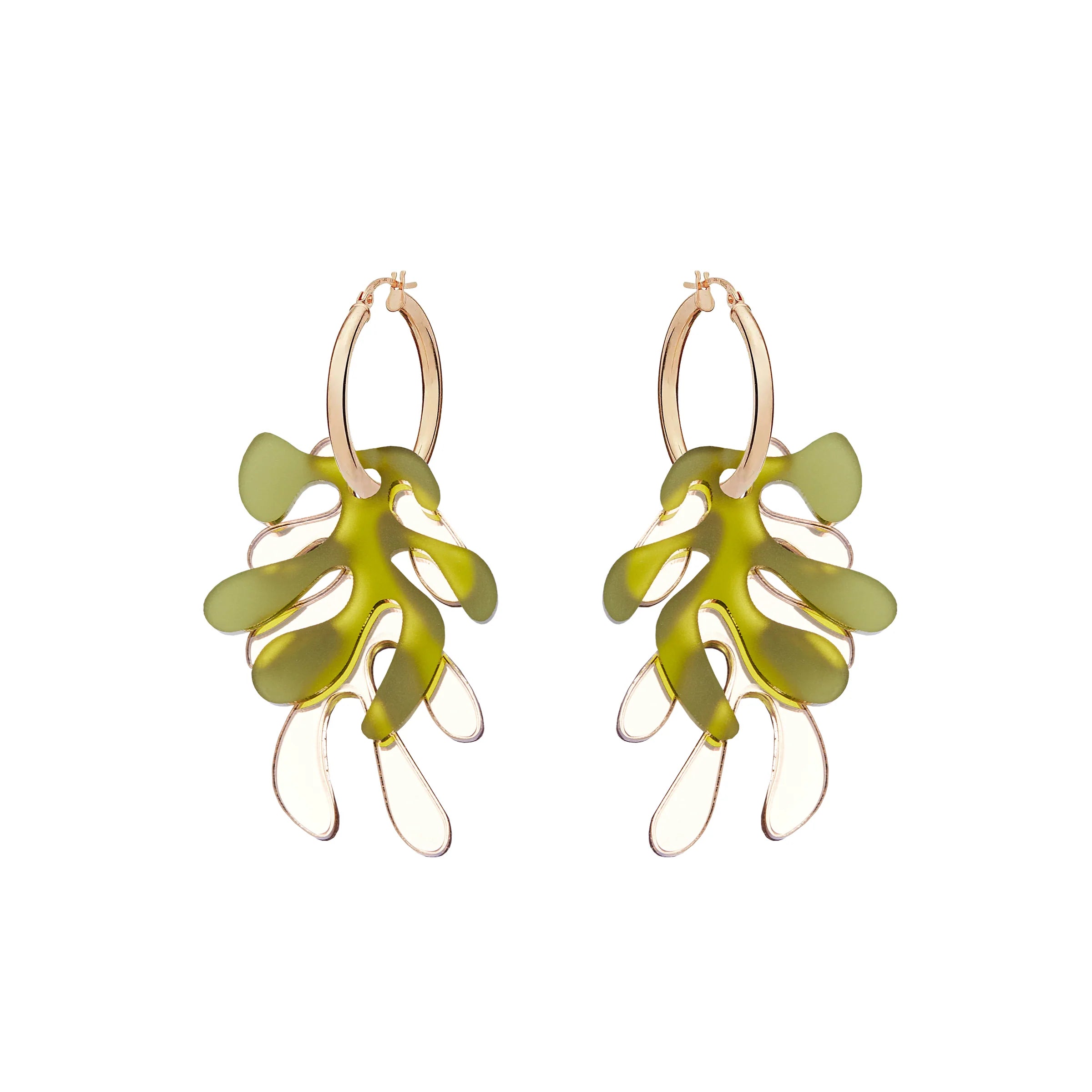 Algae Hoops