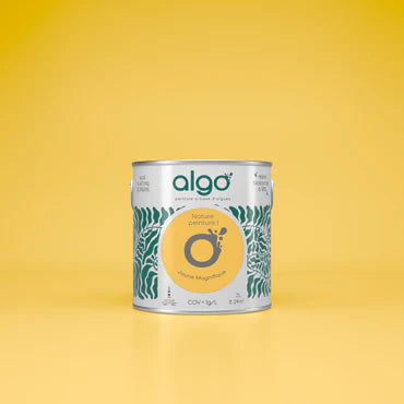 Jaune Magnifique Paint Color