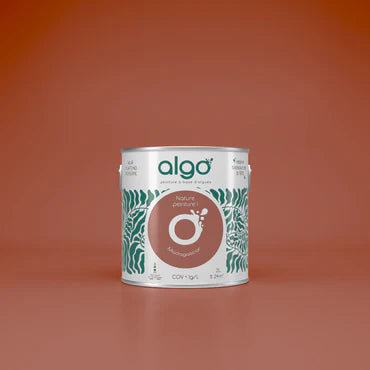 Madagascar Paint Color