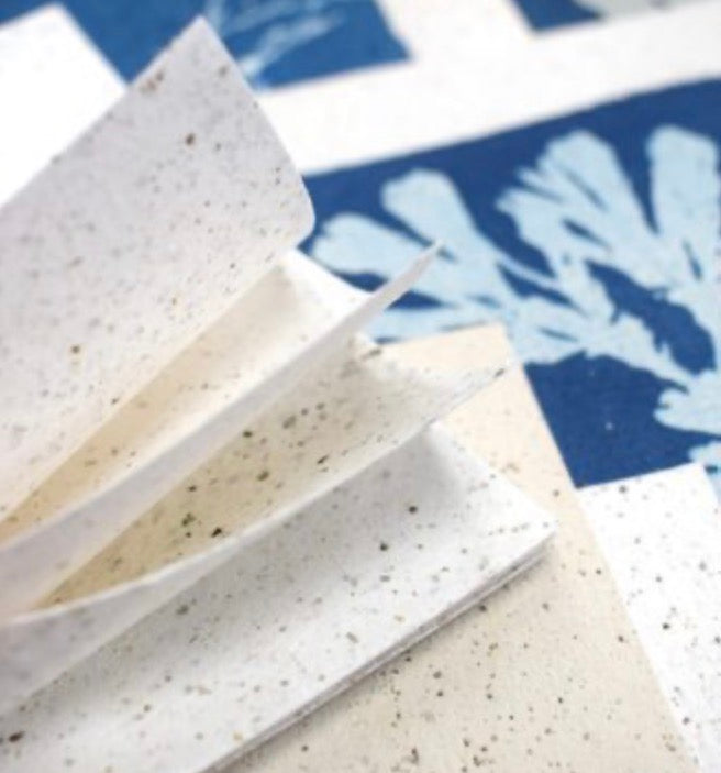 Artisan Seaweed Paper