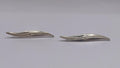 Littoral Earrings