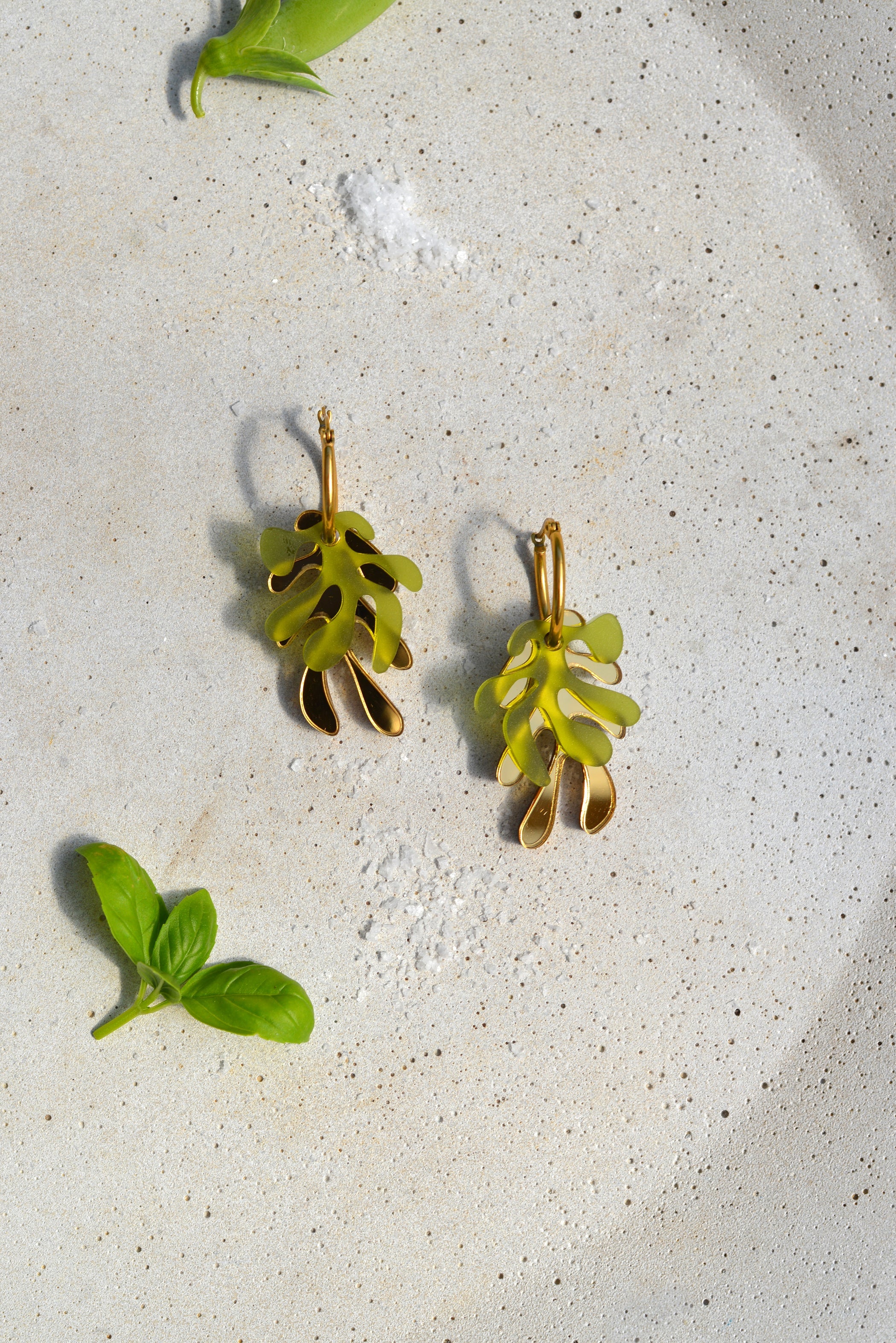 Algae Hoops