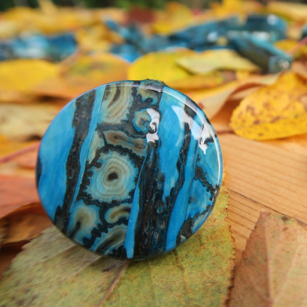 Laminaria Wood Earrings
