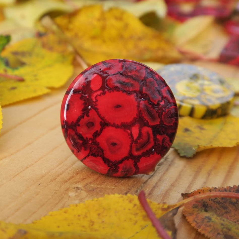 Laminaria Wood Earrings