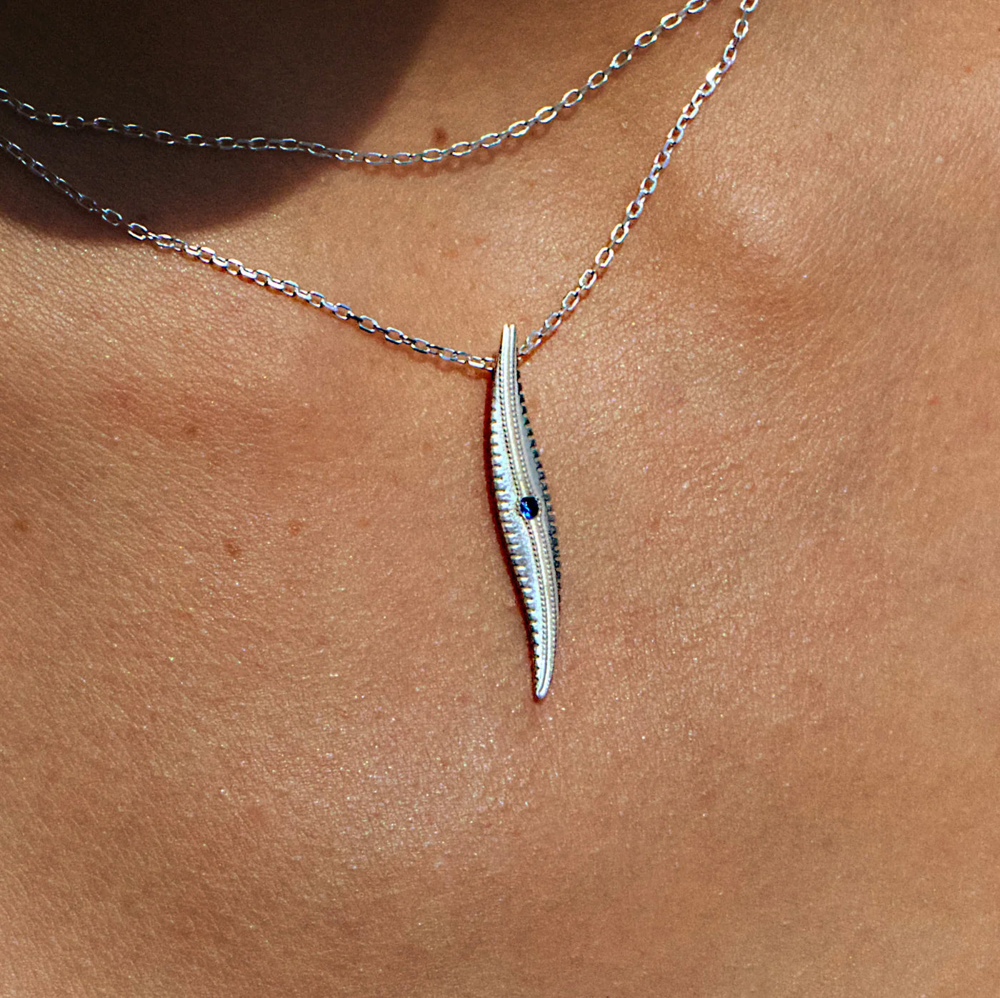 Littoral Necklace: Gyrosigma littorale - Diatom Jewellery