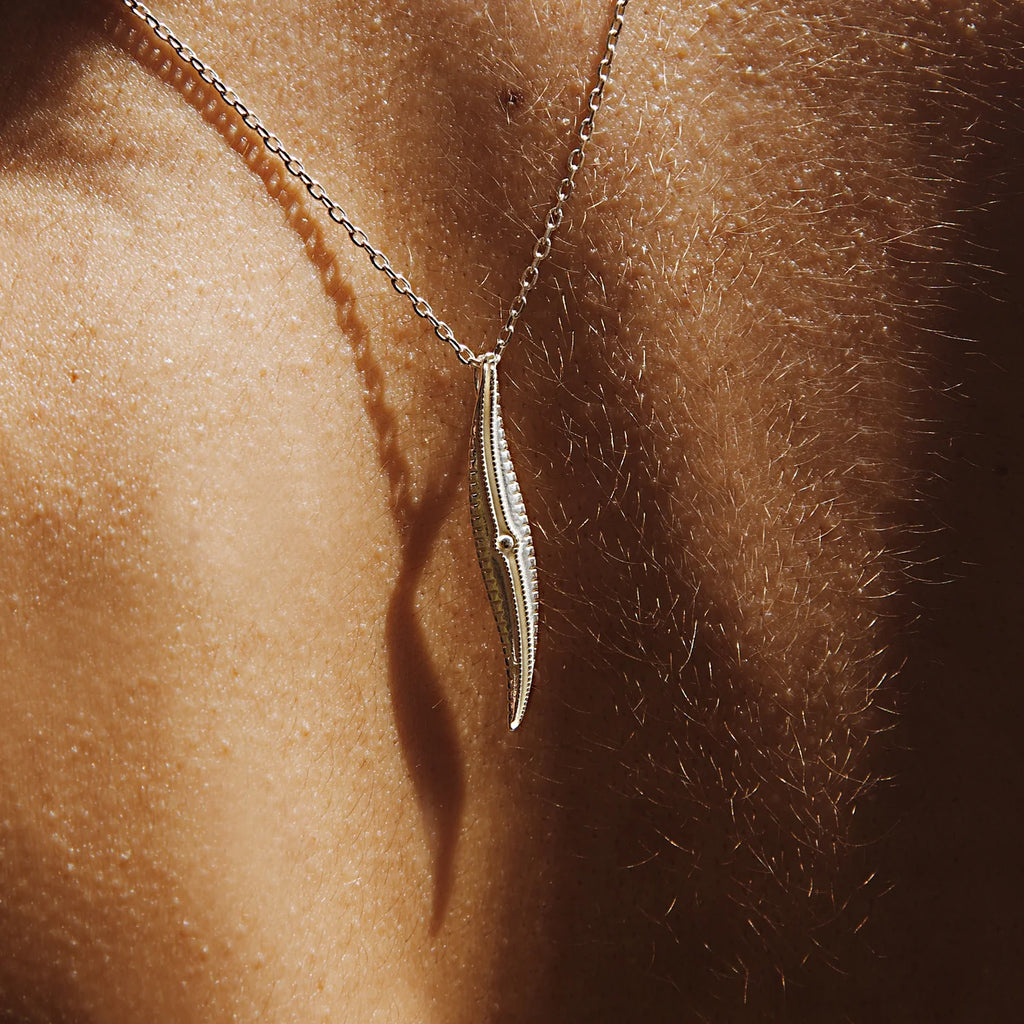 Littoral Necklace: Gyrosigma littorale - Diatom Jewellery
