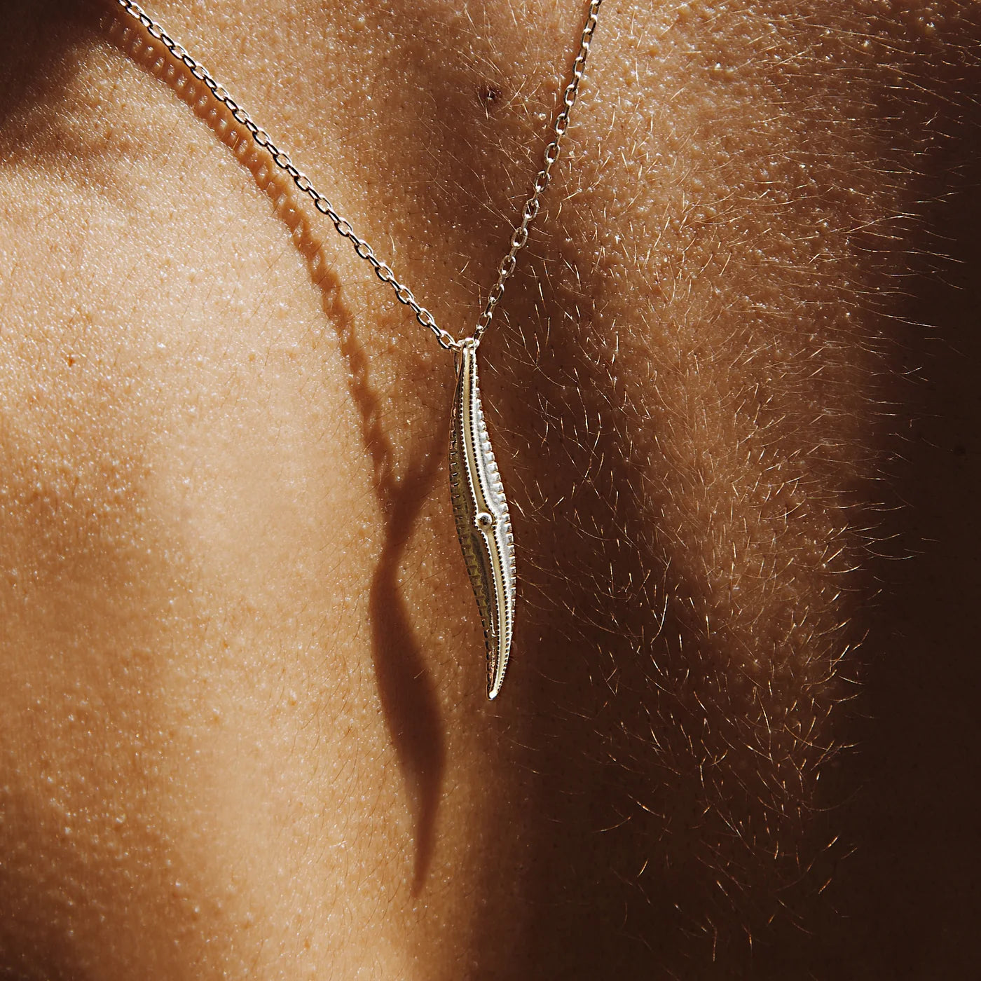 Littoral Necklace: Gyrosigma littorale - Diatom Jewellery