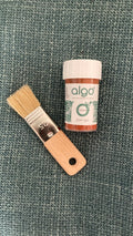 Travel Paint Brush
