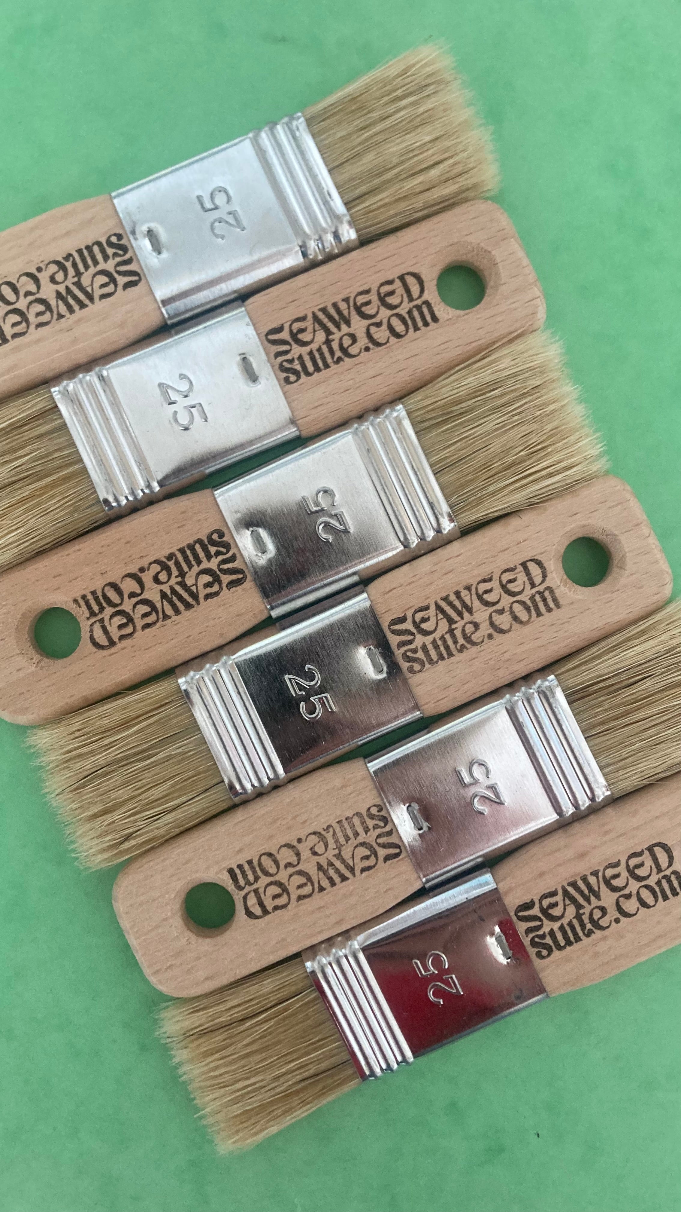 Travel Paint Brush
