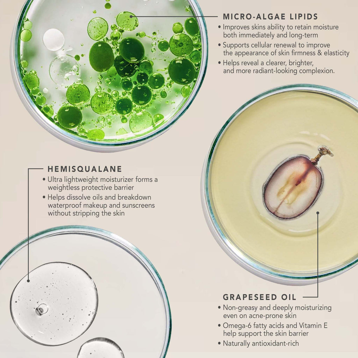 Total Reset ingredients